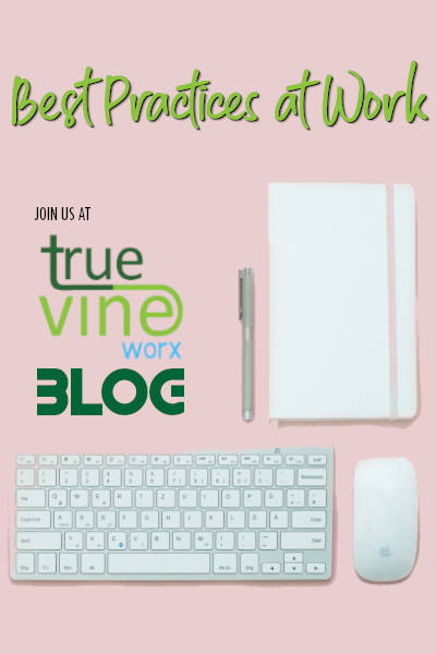 True Vine Worx Metadata Editing Content Media Prepration